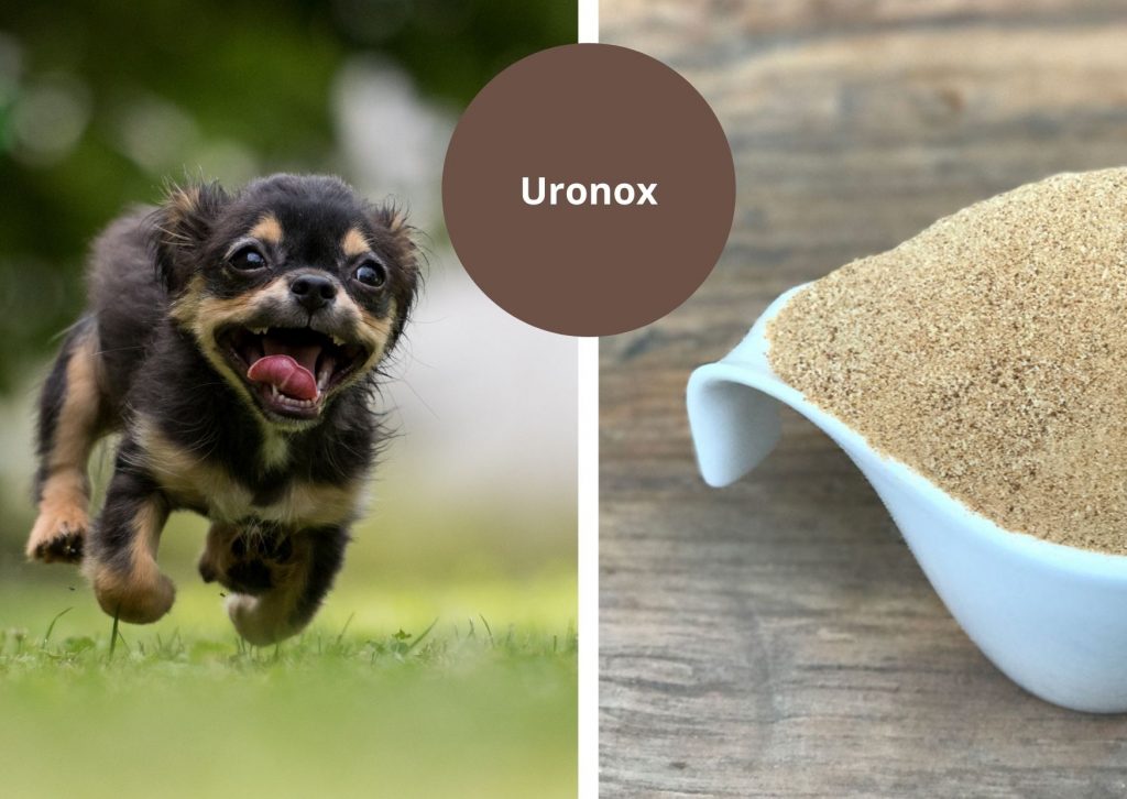 Uronox is inzetbaar bij een nierziekte, ook wel nierinsufficiëntie genoemd